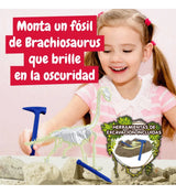 Science4you Excavación de Fósiles Brachiosaurus Brilla en la Oscuridad 80004450 630857