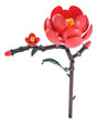 Panlos Bloques Flores Camelia 2959979