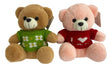 Peluche Oso Sweater 24cm 1005-76