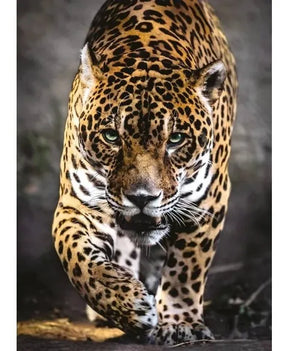 Puzzle Hqc Walk Of The Jaguar 1000 Pzas 39326 Clementoni