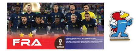 Rompecabezas Puzzle Francia 48 Pzs Fifa Oficial Fwc-0016-08