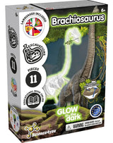 Science4you Excavación de Fósiles Brachiosaurus Brilla en la Oscuridad 80004450 630857
