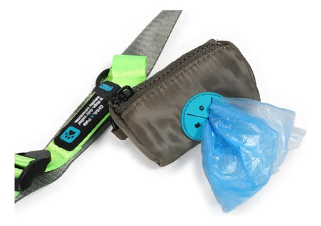 Chimola Correa De Paseo Para Perros Green R171