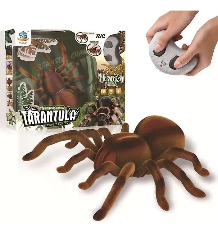 Tarantula a Control Remoto 2058194 Shine