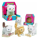 Gato con Accesorios y Sonido 2377604