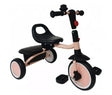 Triciclo Infantil Pink B61