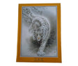 TIGRE BLANCO 5082 500 PCS JIGSAW PUZZLE 1963524