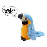 Loro hola Lolo 1934 YB00652