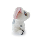 Phi Phi Toys Peluche Pua 18cm MD005