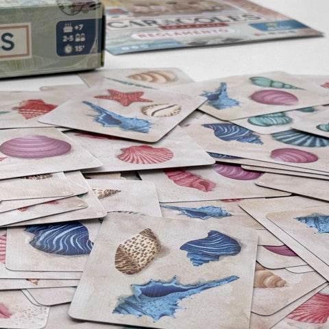 Juego Caracoles En La Playa Maldon 8301