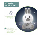 Chicco First Dreams Conejito quitamiedos 0M+ 00011456000000