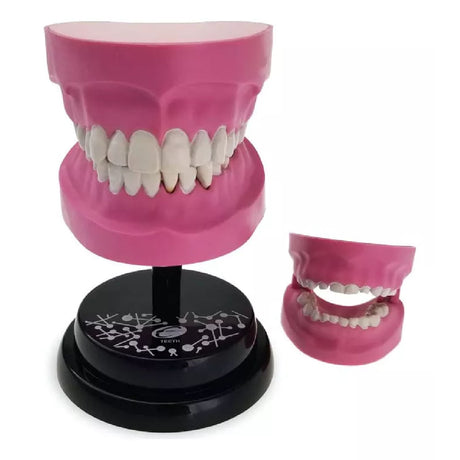 EASTCOLIGHT DIENTES MODELO PROFESIONAL 35003