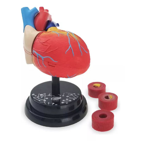 EASTCOLIGHT CARDIOLOGIA MODELO PROFESIONAL 35004