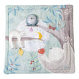 Chicco First Dreams Relax & Play Mat Buho 02 en 01 0M+ 00011939000000