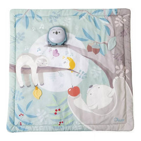Chicco First Dreams Relax & Play Mat Buho 02 en 01 0M+ 00011939000000