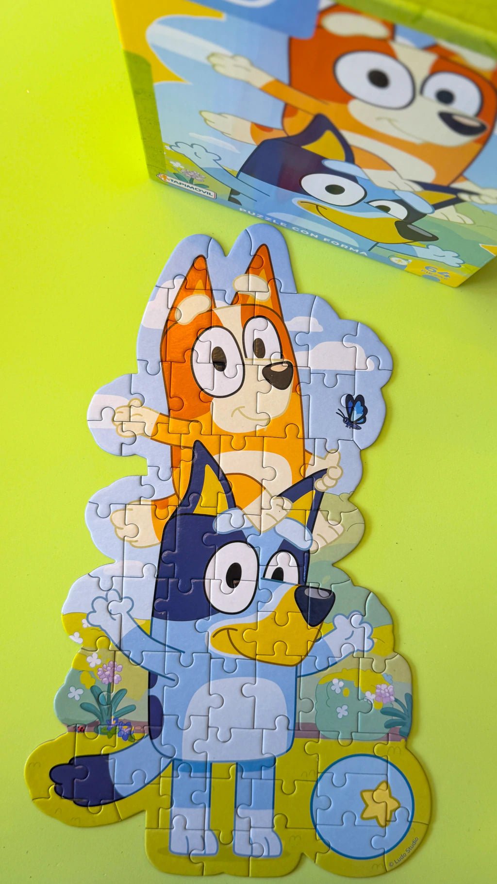 Puzzle Con Forma 64 Pzas BLU01265